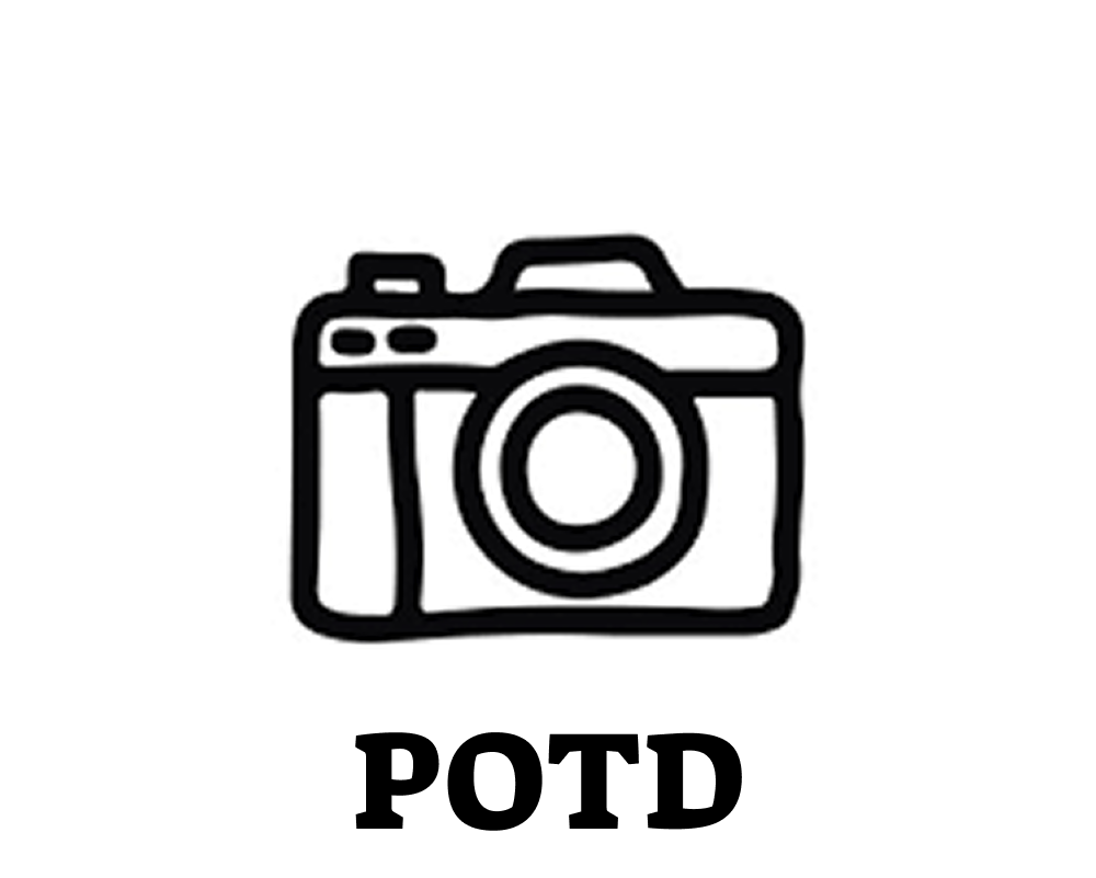 POTD Logo